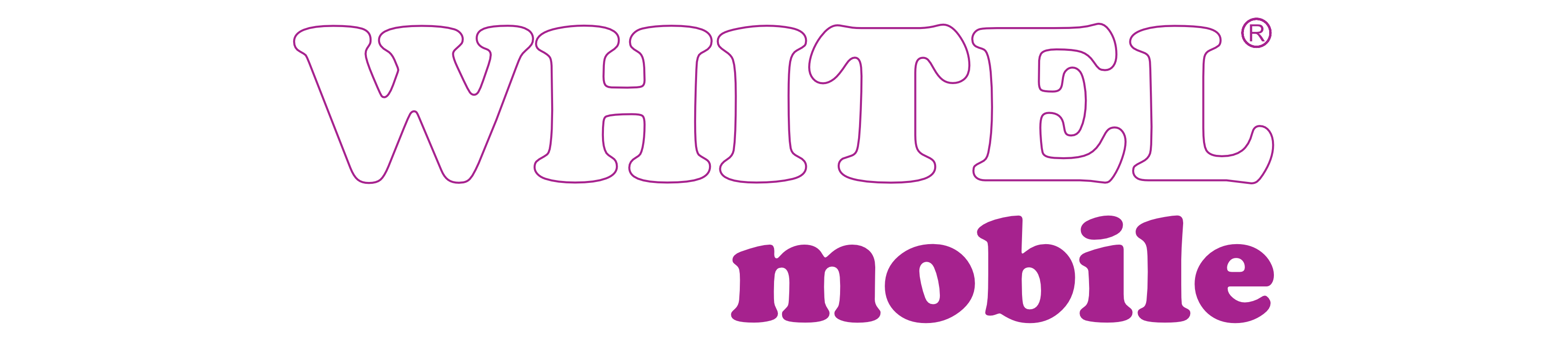 Footer Logo
